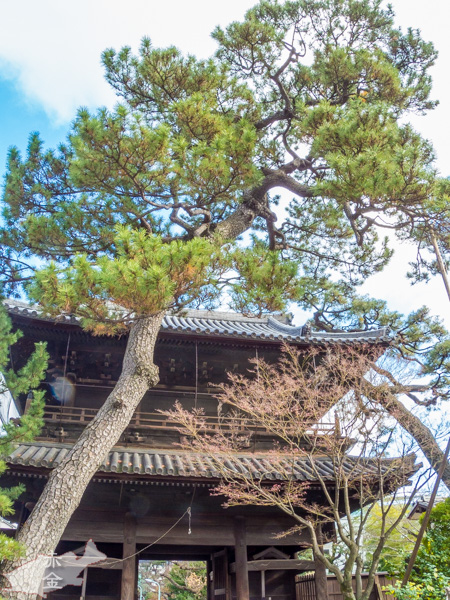 萬松山泉岳寺